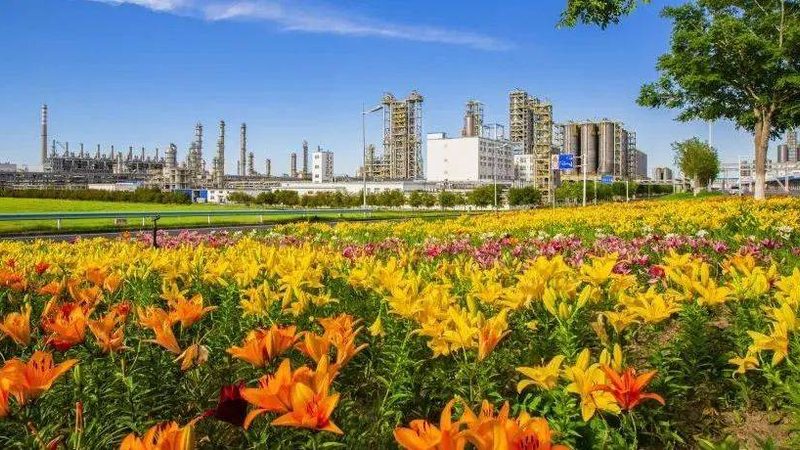 环保型化学助剂：代理费用背后的考量因素