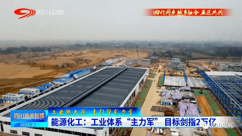 小型化工厂如何定制高效尾气处理设备？**